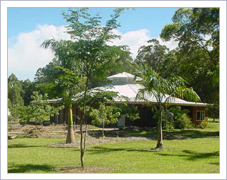 Dhamma Rasmi